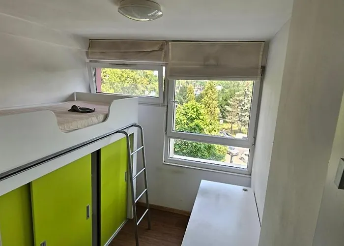 Starter 1 ורוצלב